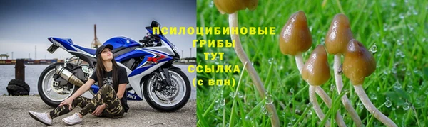 каннабис Абаза